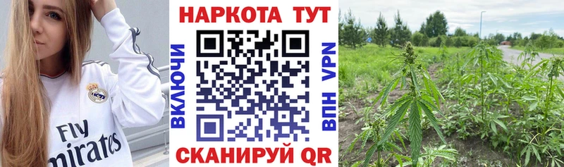 ТГК Петровск