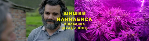 твердый Горняк
