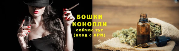 твердый Горняк