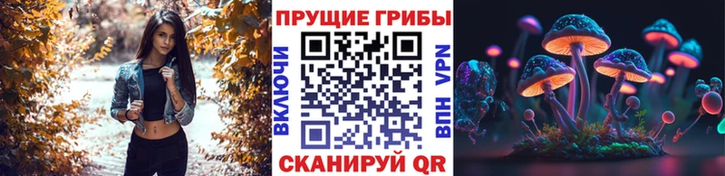 Галлюциногенные грибы Magic Shrooms  Петровск 
